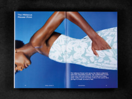 Maike Schamotzki Design 