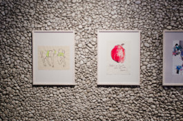 Maike Schamotzki Design 