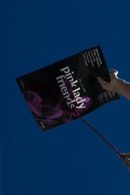 Maike Schamotzki Design 