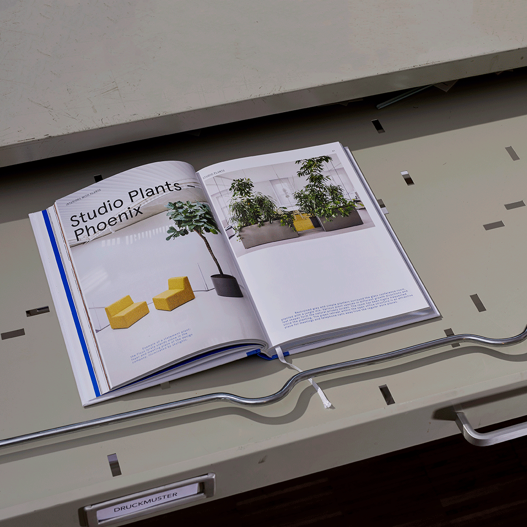 Maike Schamotzki Design 