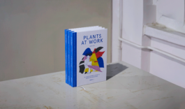 Maike Schamotzki Design 