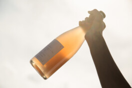 Maike Schamotzki Design 