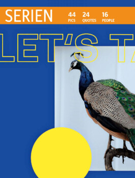 Maike Schamotzki Design 