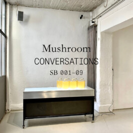 Maike Schamotzki Design 